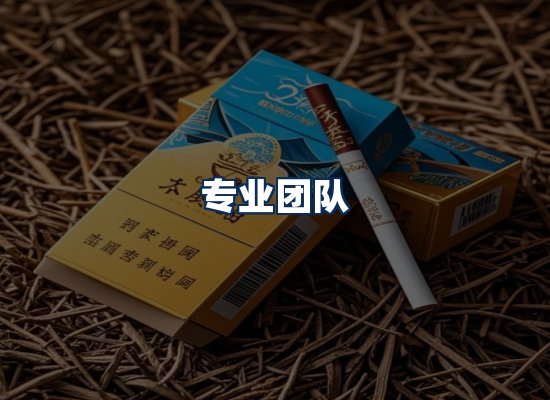 专业团队